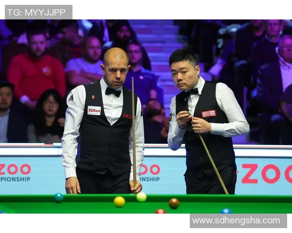 南京羽毛球队技术争议引发热议球迷与专家观点交锋分析